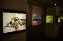 Wasp_exhibition__DSC3435